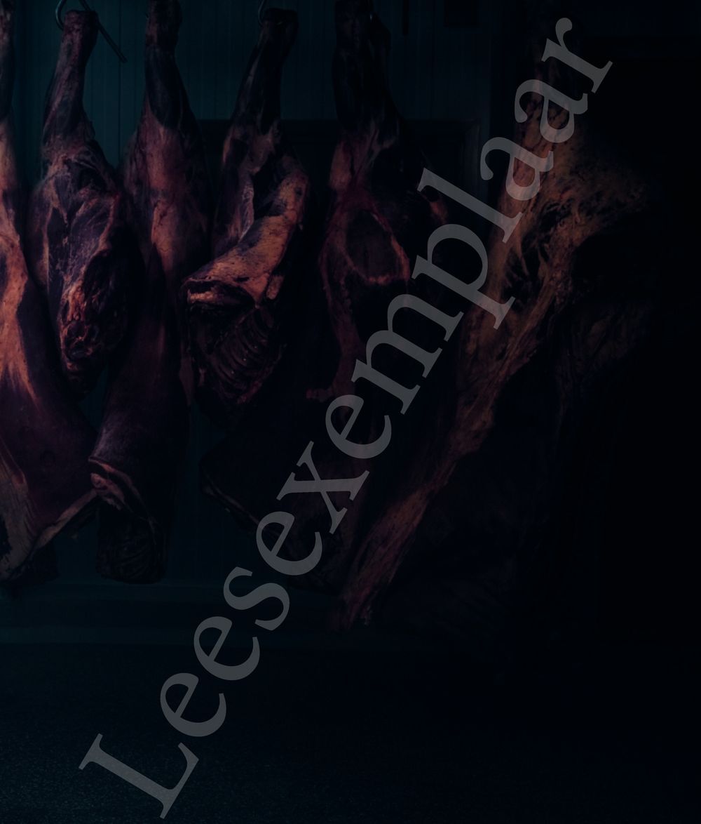 Preview: DIERENDONCK - Une famille de bouchers (Édition française)