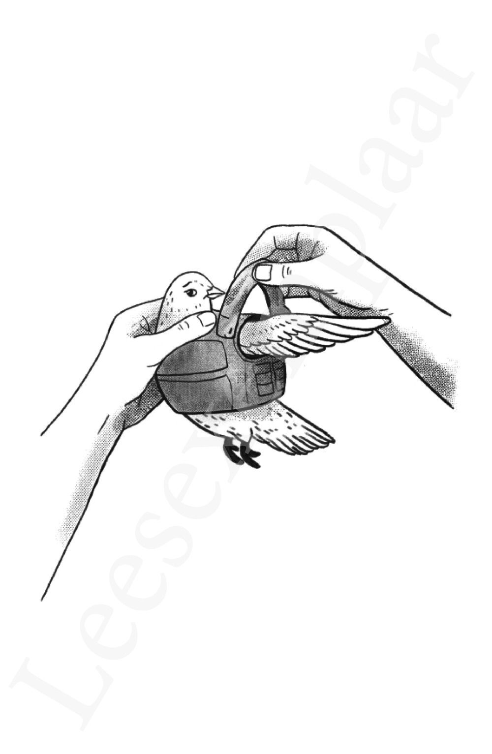 Preview: Komt er oorlog? En 33 andere vragen over defensie