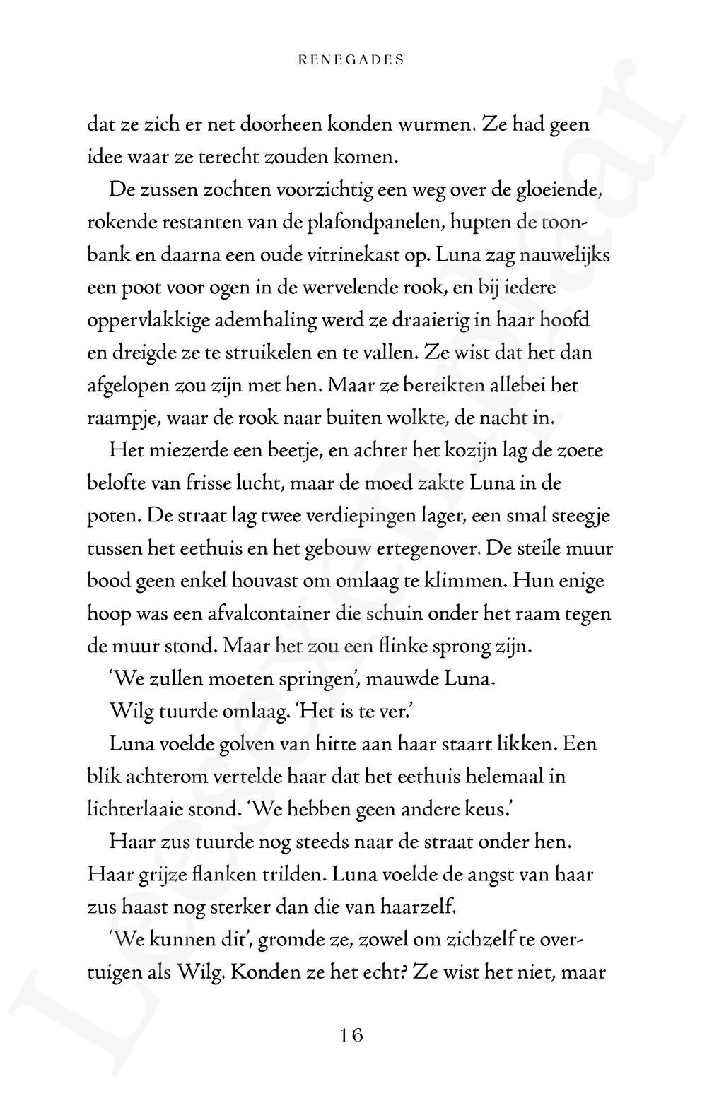 Preview: Renegades 1: De magie ontwaakt