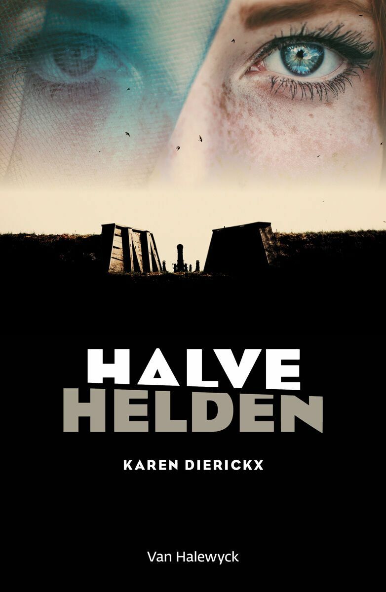 Halve helden e-book