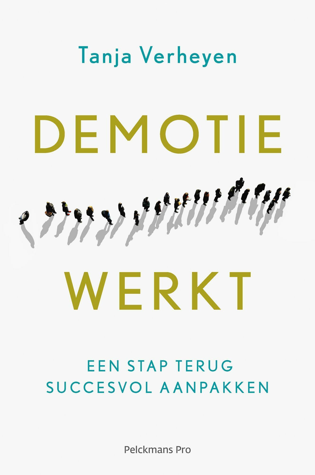 Demotie werkt (e-book)