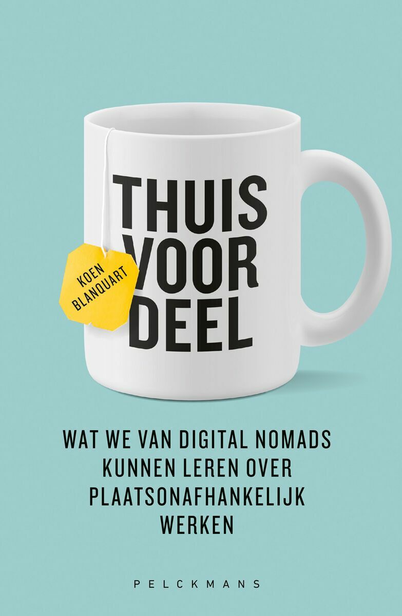 Thuisvoordeel (e-book)