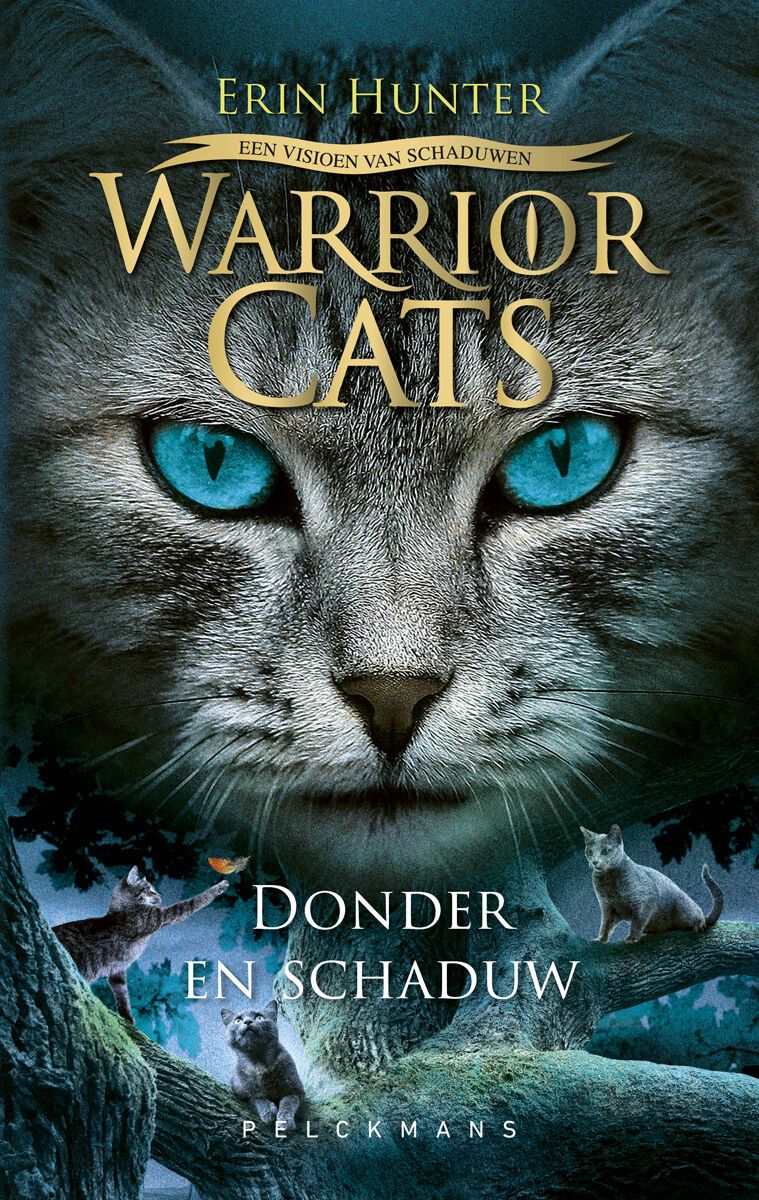 Warrior Cats - Een visioen van schaduwen: Donder en schaduw