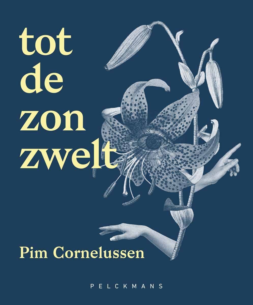 Tot de zon zwelt