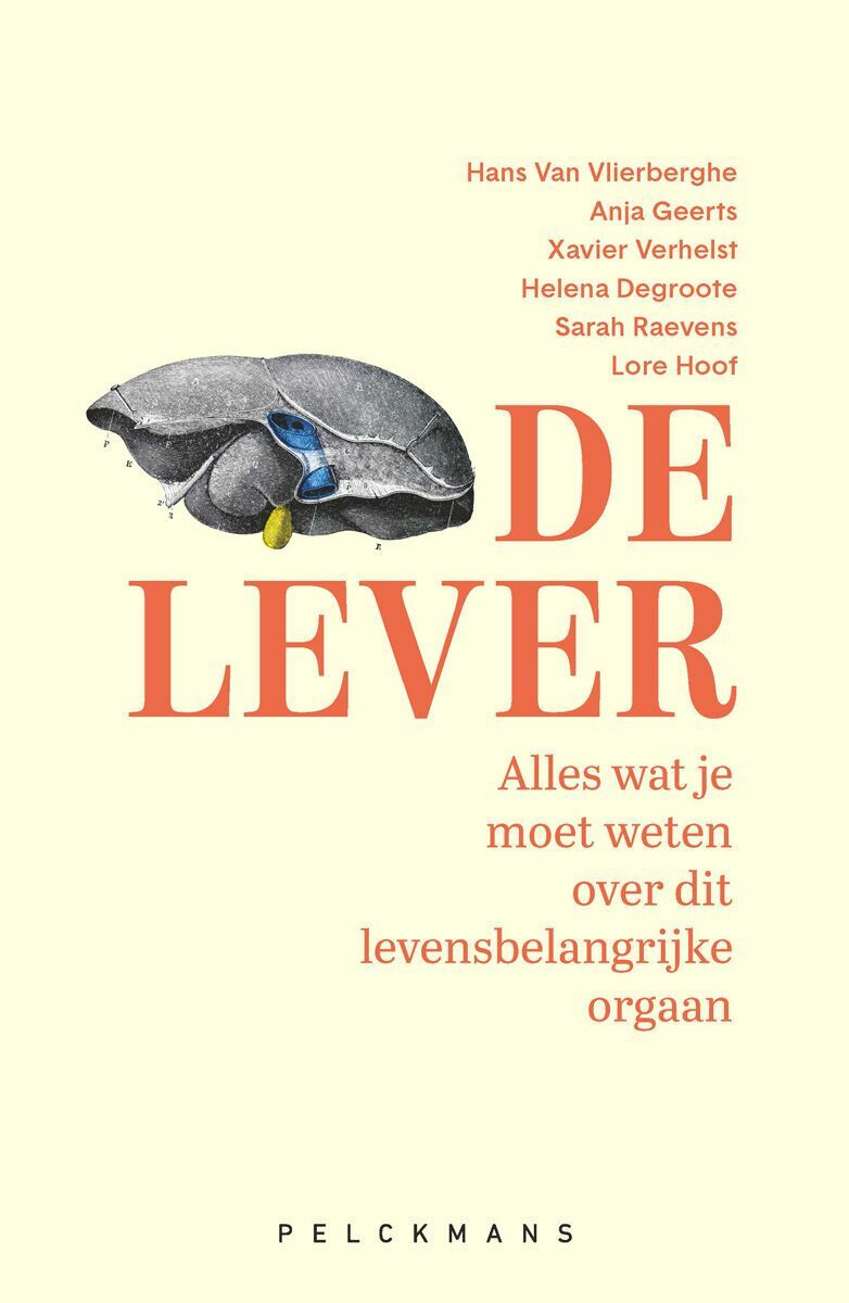 De lever