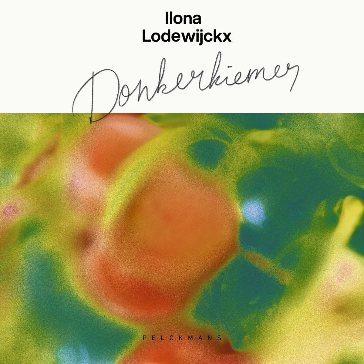 Donkerkiemer (audiobook)