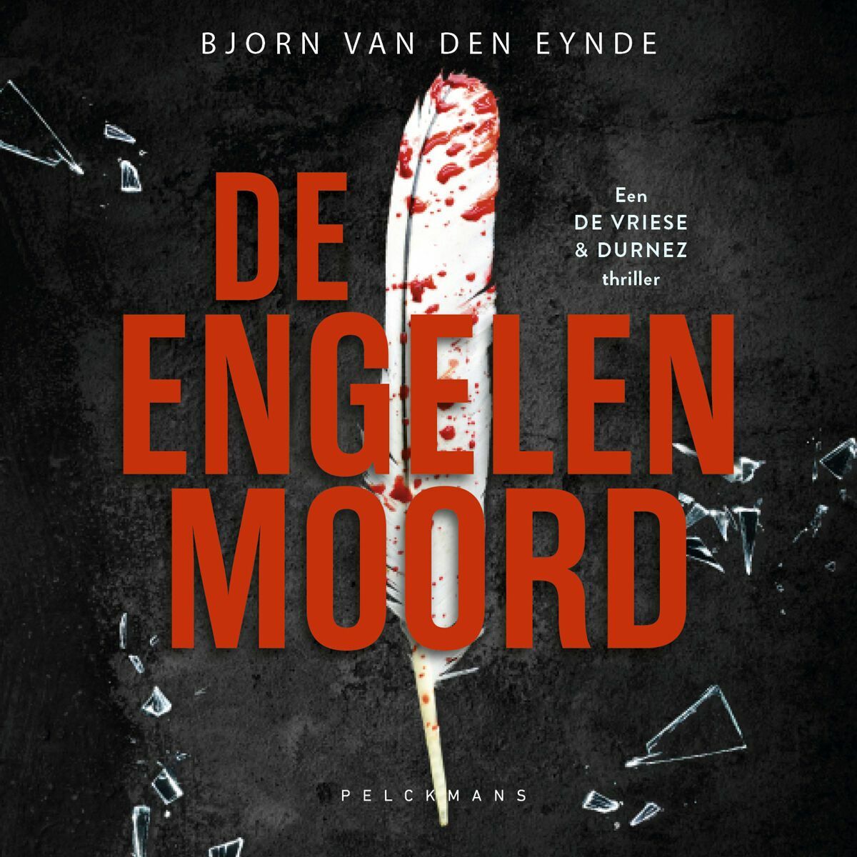 De Engelenmoord (audiobook)