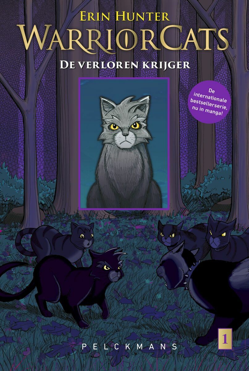 Warrior Cats - Manga: De verloren krijger