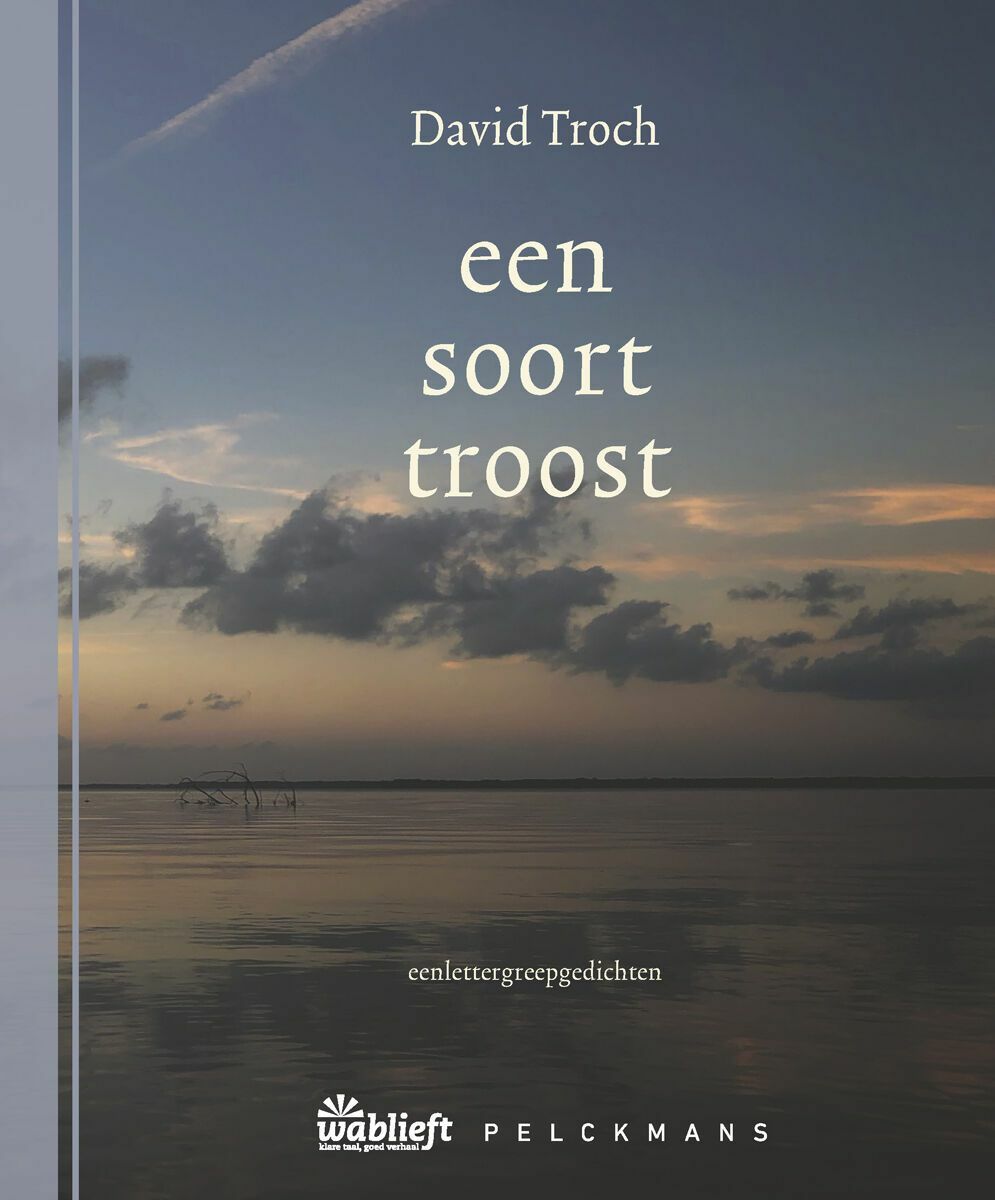 een soort troost (e-book)
