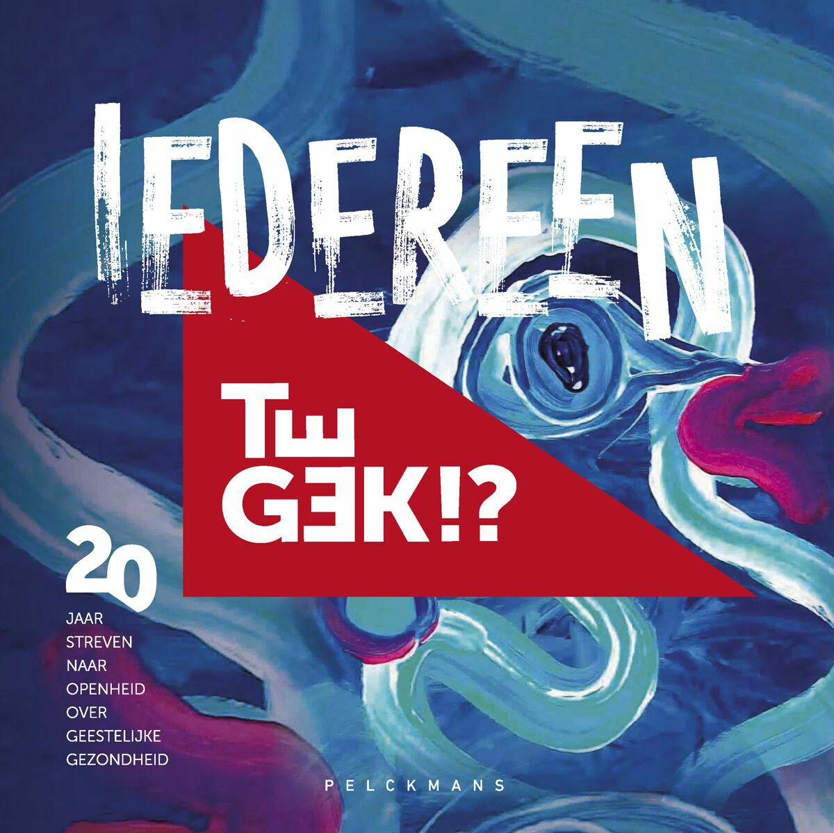 Iedereen Te Gek!? (e-book)