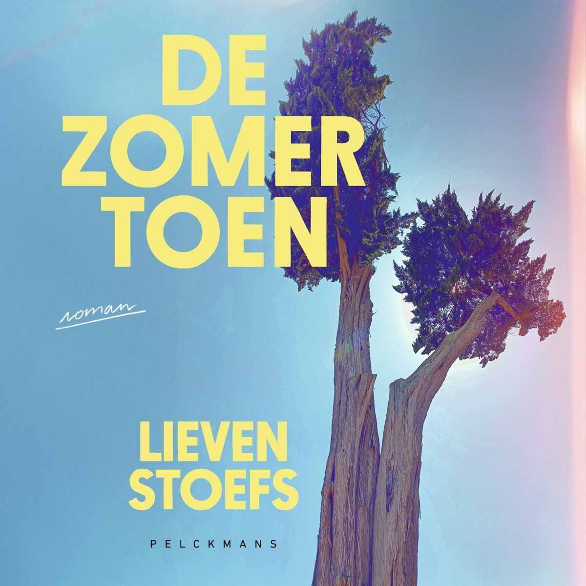 De zomer toen (audiobook)