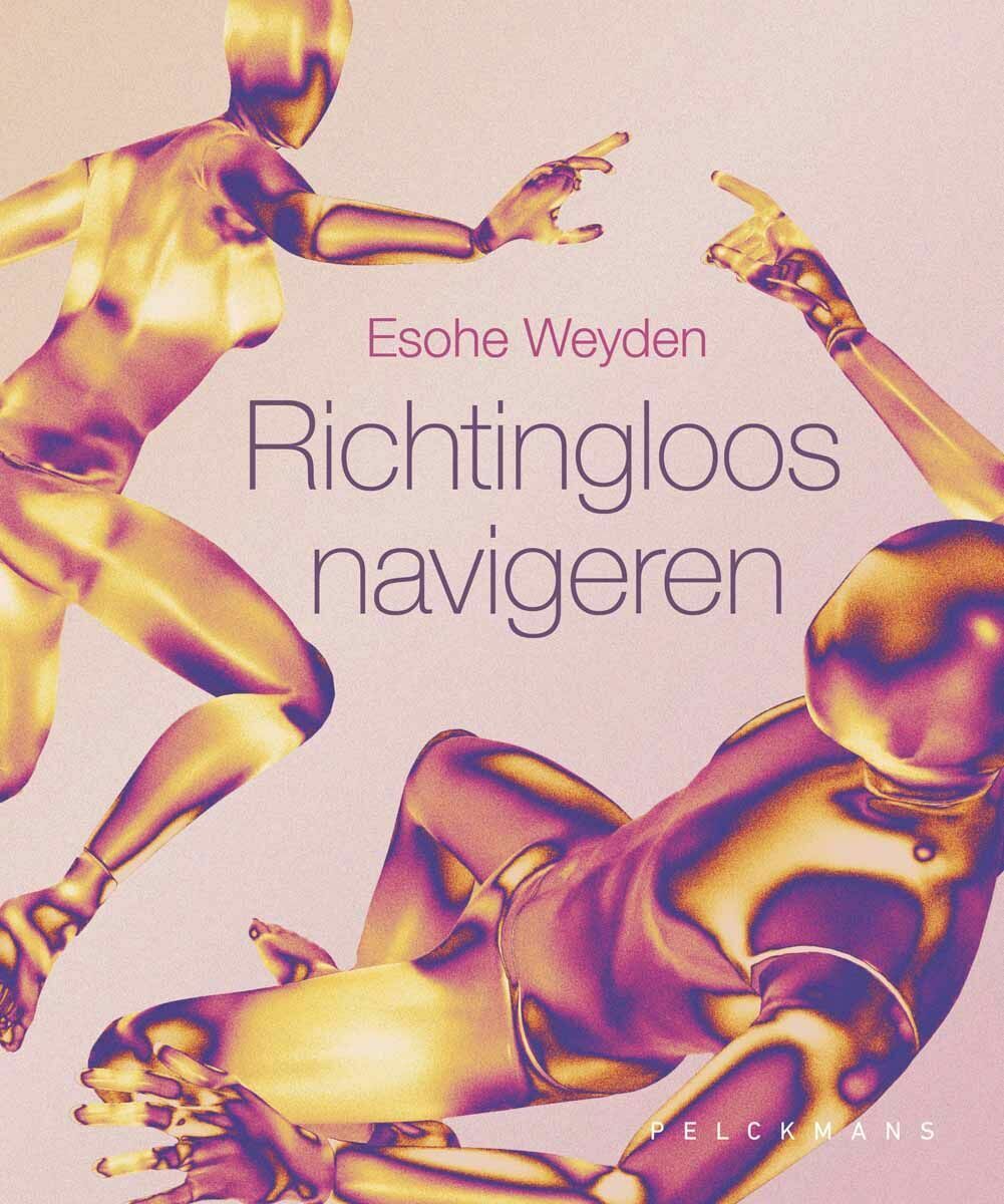 Richtingloos navigeren (e-book)