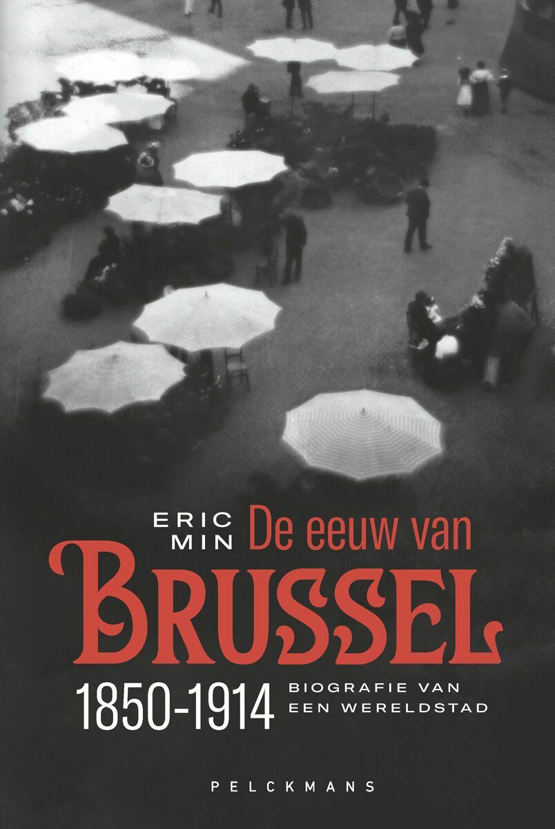 De eeuw van Brussel (e-book)