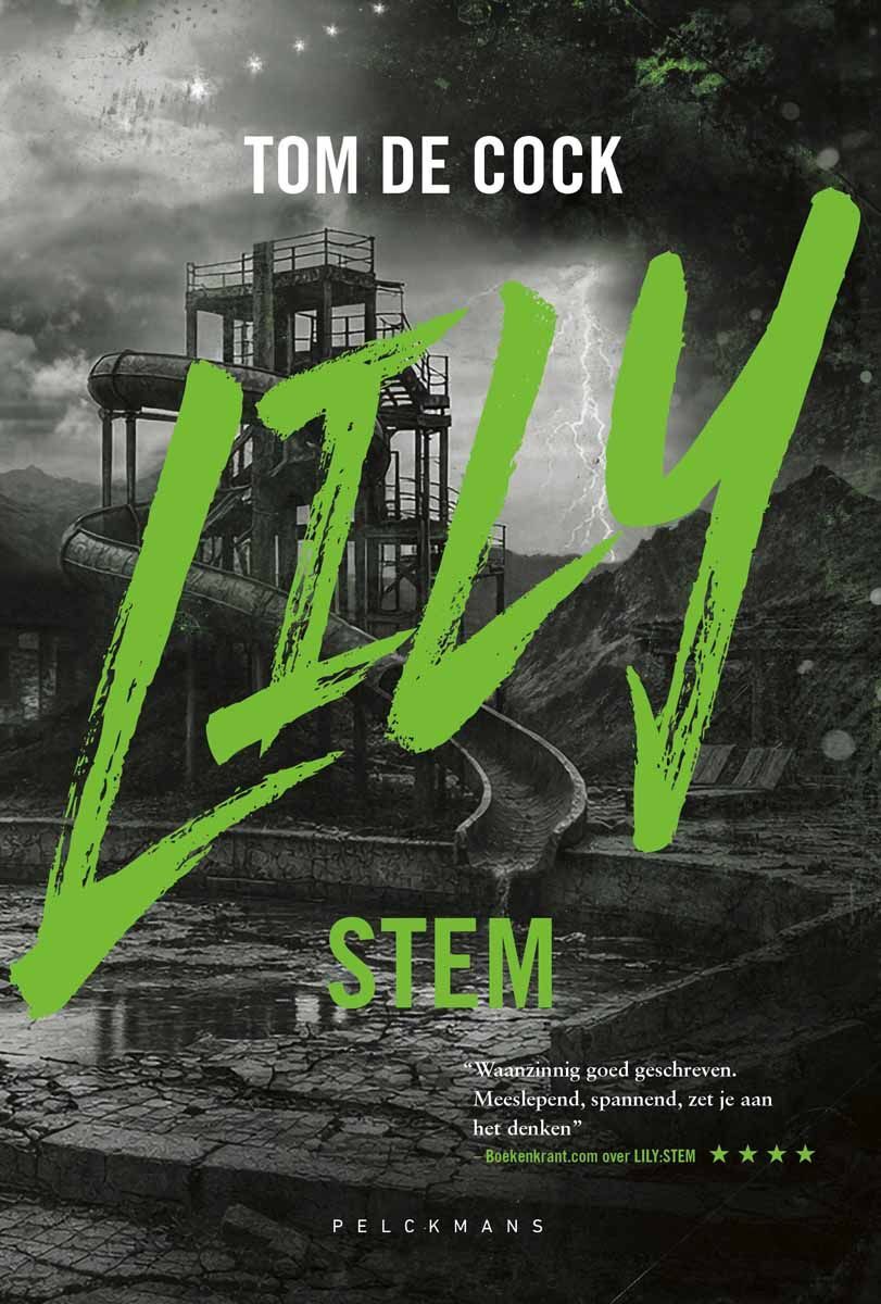 LILY: Stem