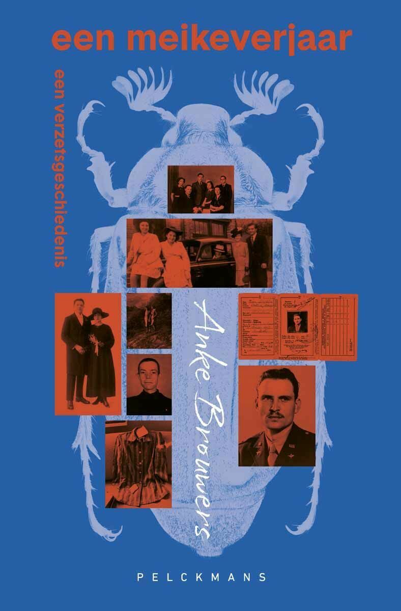 Een meikeverjaar (e-book)