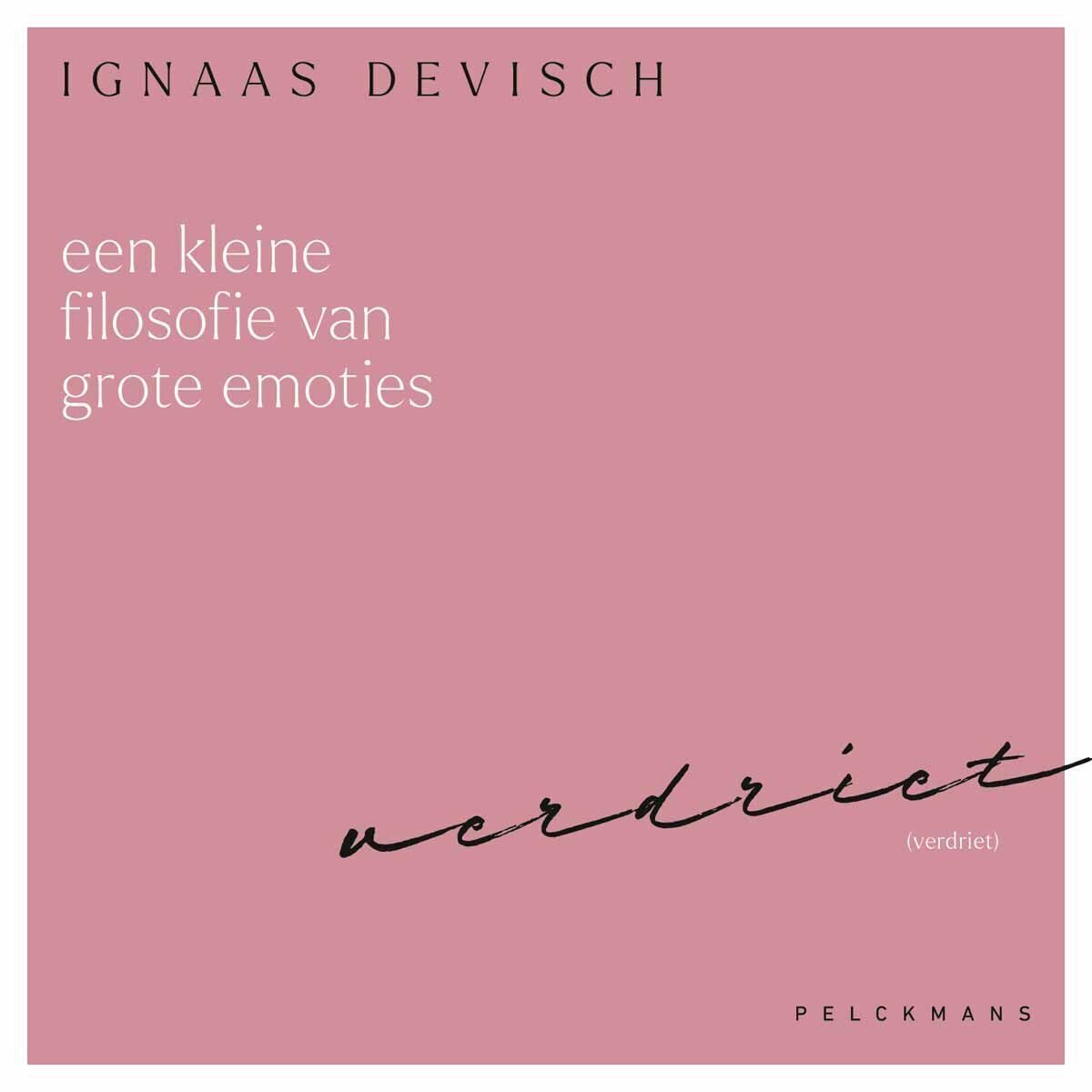 Een kleine filosofie van grote emoties: Verdriet (audiobook)