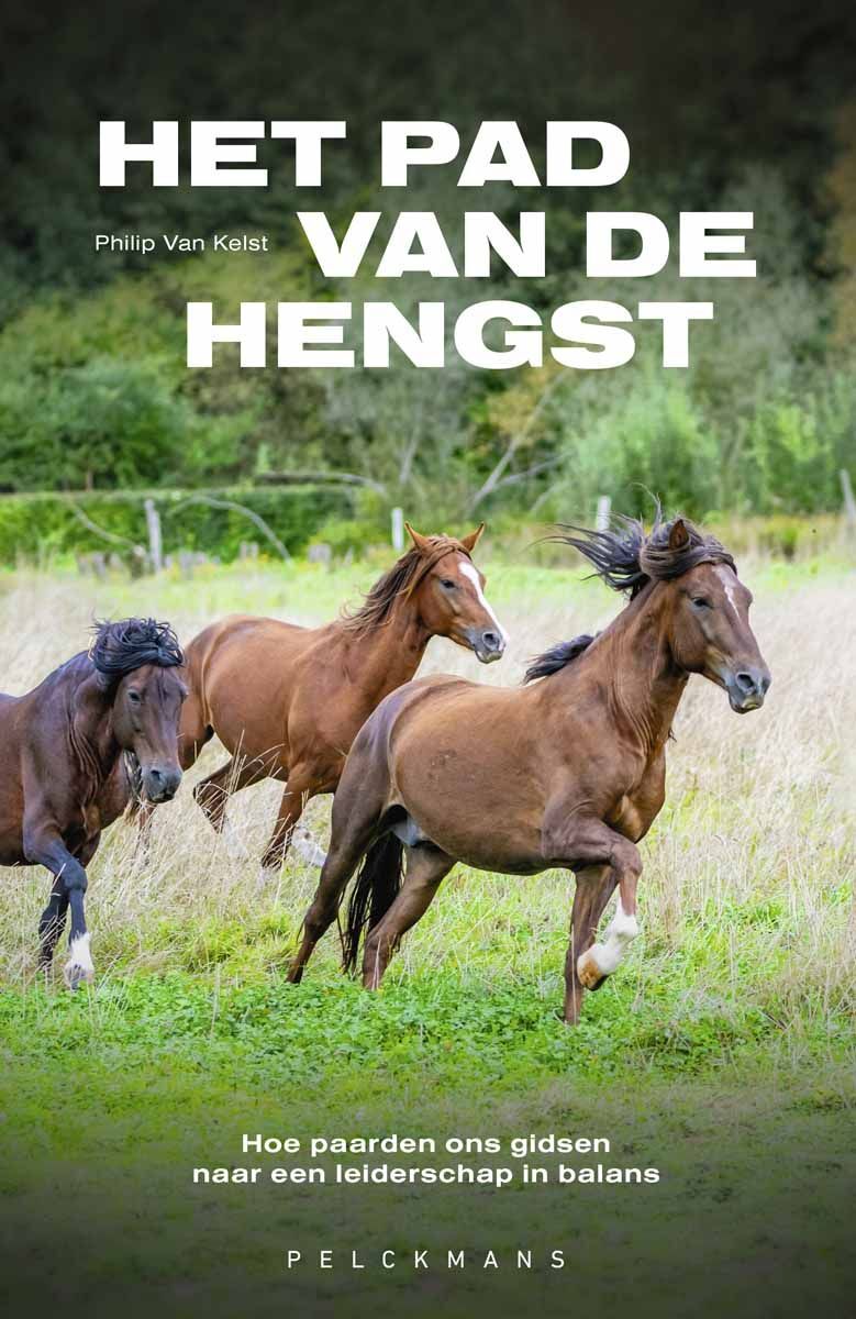 Het pad van de hengst
