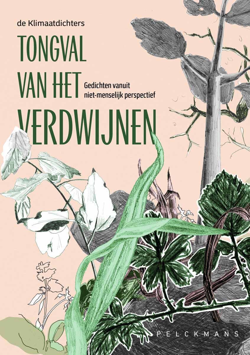 Tongval van het verdwijnen (e-book)