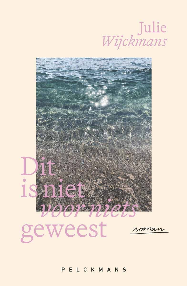 Dit is niet voor niets geweest (e-book)
