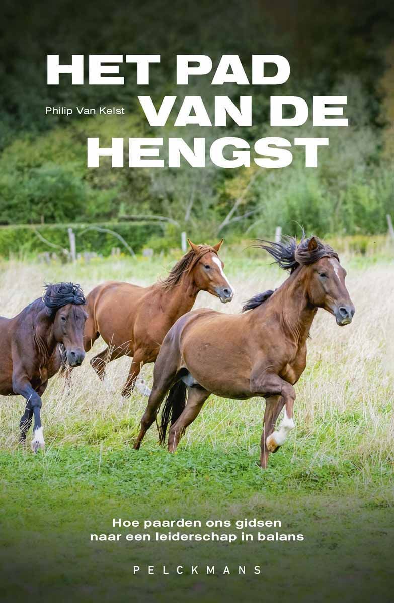 Het pad van de hengst (e-book)