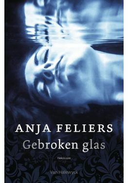 Gebroken glas (e-book)