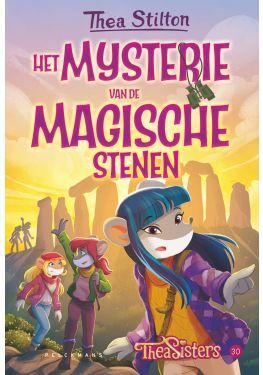 Het mysterie van de magische stenen (30)