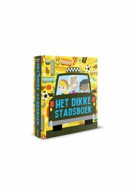 Het dikke stadsboek