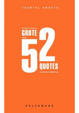 Het kleine boekje met grote ideeën (e-book)