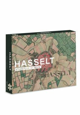 Stad Hasselt - Puzzel 1000 stukjes