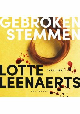 Gebroken stemmen (audiobook)