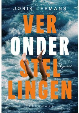 Veronderstellingen (e-book)