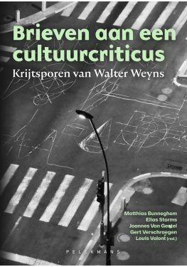 Brieven aan een cultuurcriticus