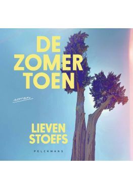 De zomer toen (audiobook)