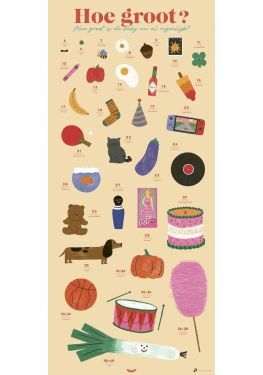 Poster - Babygroeiposter