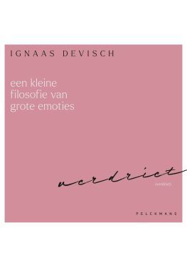 Een kleine filosofie van grote emoties: Verdriet (audiobook)