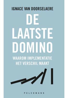 De laatste domino (e-book)