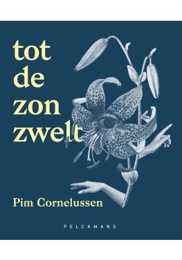 Tot de zon zwelt (e-book)