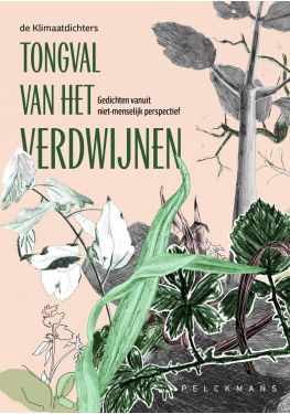 Tongval van het verdwijnen (e-book)