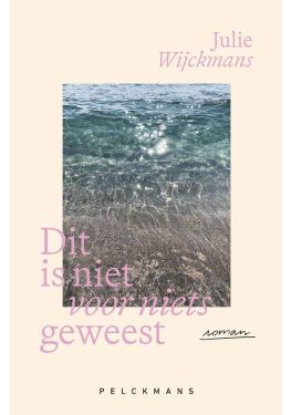 Dit is niet voor niets geweest (e-book)