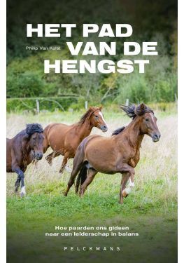 Het pad van de hengst (e-book)
